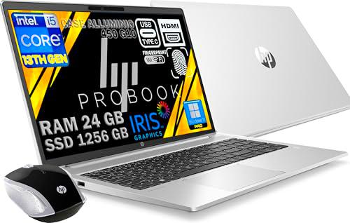 HP Probook 450 G10 - Ordenador portátil plateado (24 GB