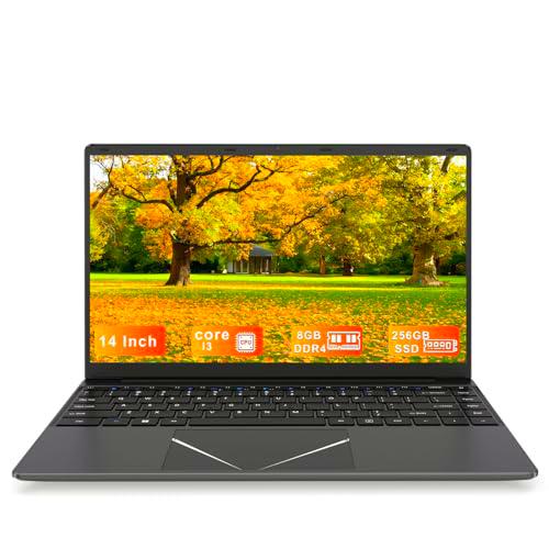 DREAMFYRE PC portátil de 14 Pulgadas, 8 GB RAM 256 GB SSD