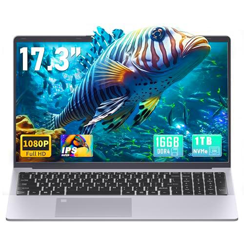 Fsjun Ordenador portátil de 17,3 pulgadas FHD IPS con Quad-Core N5095