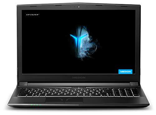 MEDION ERAZER P6705 - Ordenador portátil gaming 15.6" FullHD (Intel Core i5-8300H