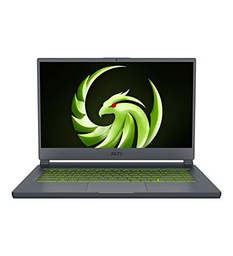 MSI Delta 15 A5EFK-035FR R7-5800H/15.6"/2X8G/512G/RX6700M/W10*2800