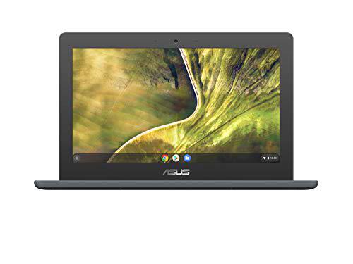 ASUS Chromebook C204MA-GJ0342 - Portátil 11.6" HD (Celeron N4020