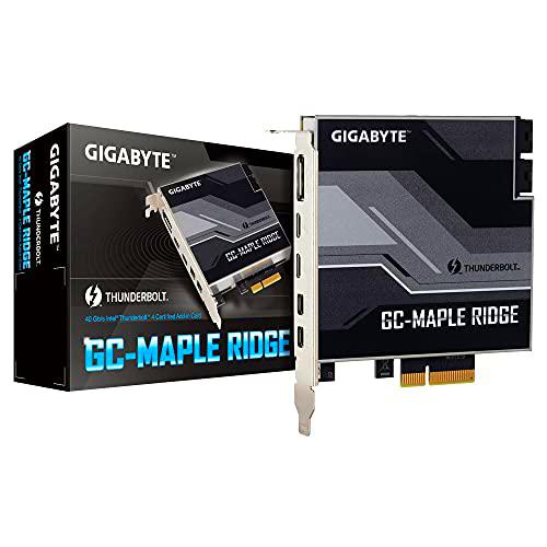 Gigabyte Technology GC-Arce Ridge 1.0 (GCMAPLER-00-G)