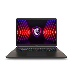 MSI Vector 17 HX A14VIG-616FR Ordinateur portátil 43,2 cm (17&quot;) Quad HD Intel Core™ i9 i9-14900HX 32 Go 1 To SSD
